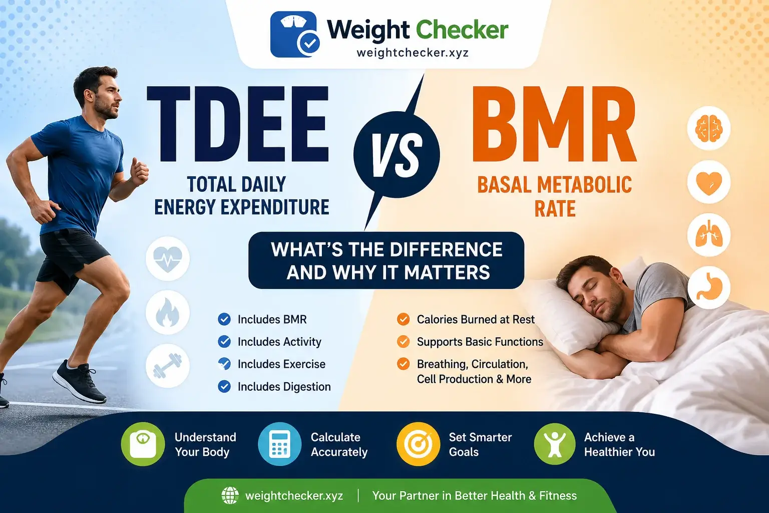 TDEE vs BMR