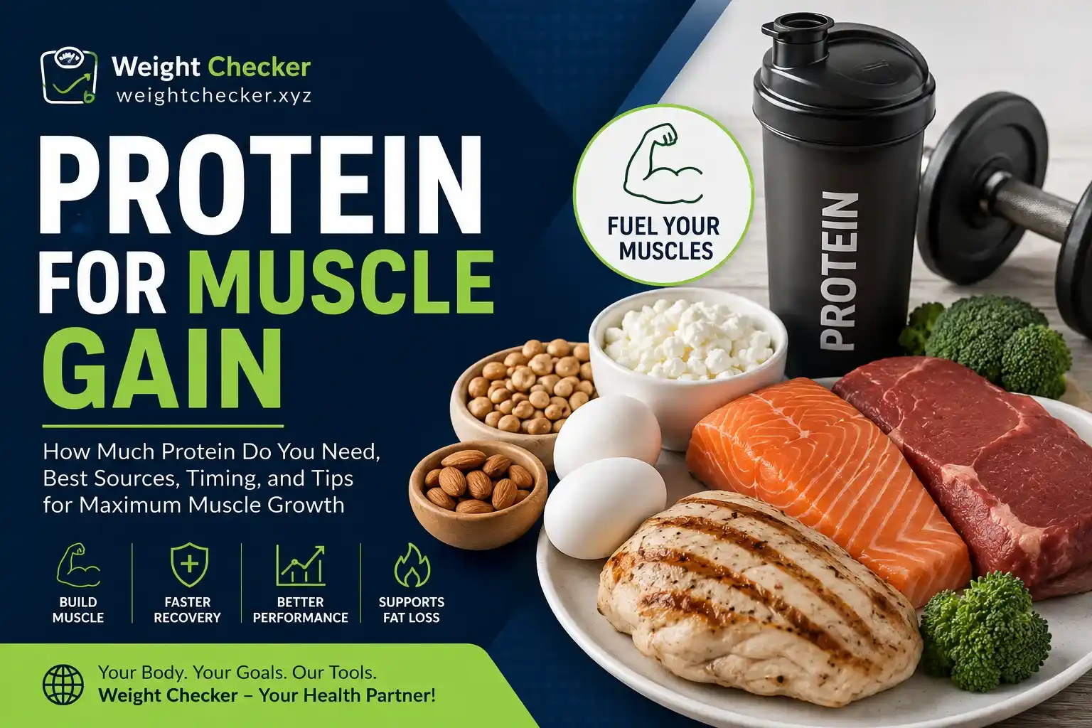 Protein for Muscle Gain