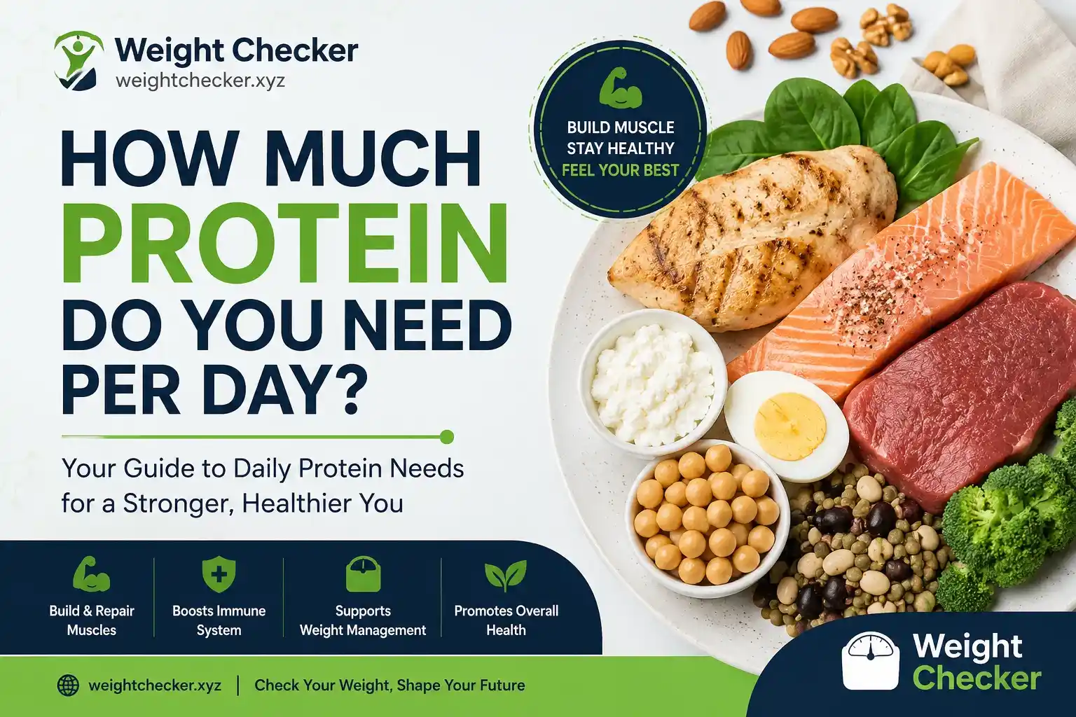 How Much Protein Do You Need Per Day?