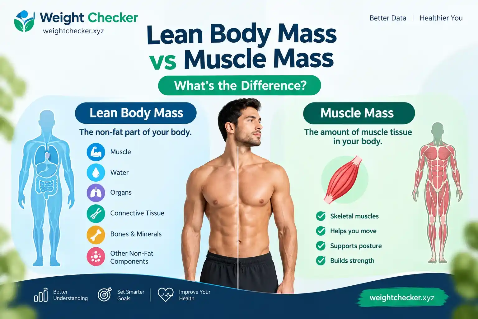 Lean Body Mass vs Muscle Mass